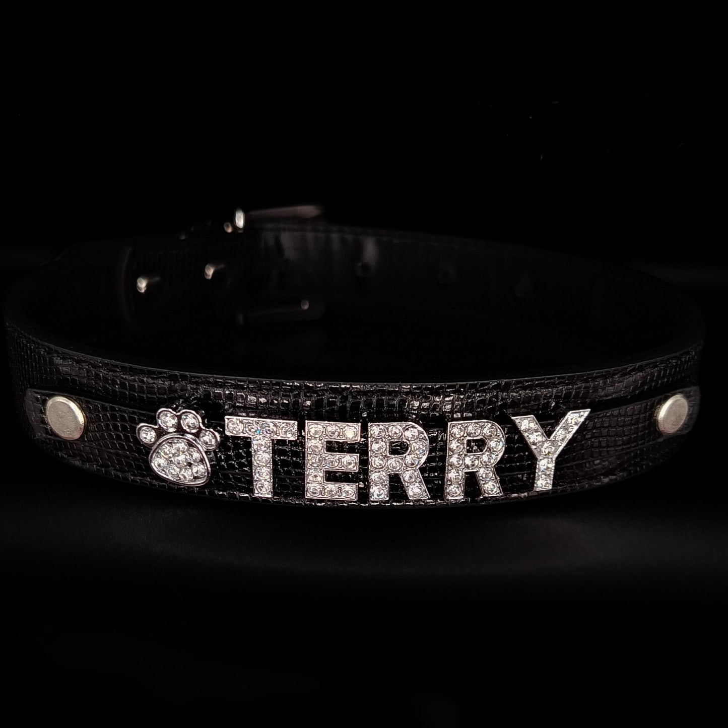 COLLAR CON NOMBRE PARA MASCOTA