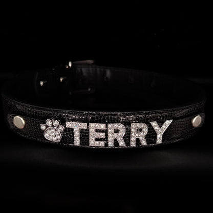 COLLAR CON NOMBRE PARA MASCOTA